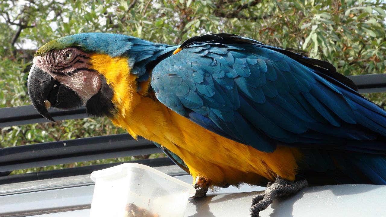 Hotel Canto Da Coruja - Ecohospedagem *