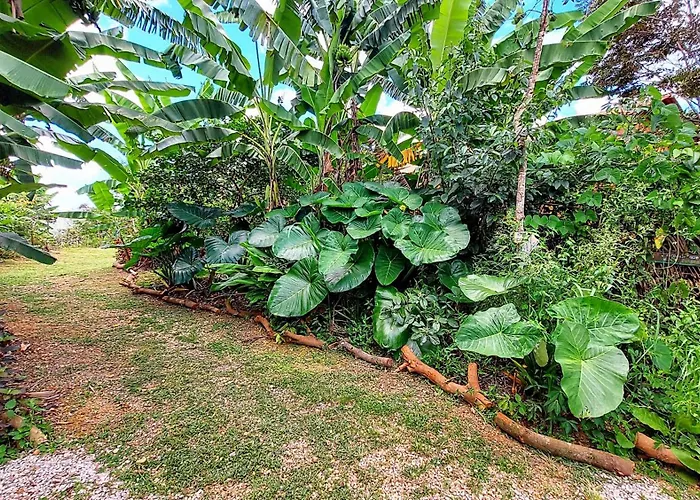 Canto Da Coruja - Ecohospedagem