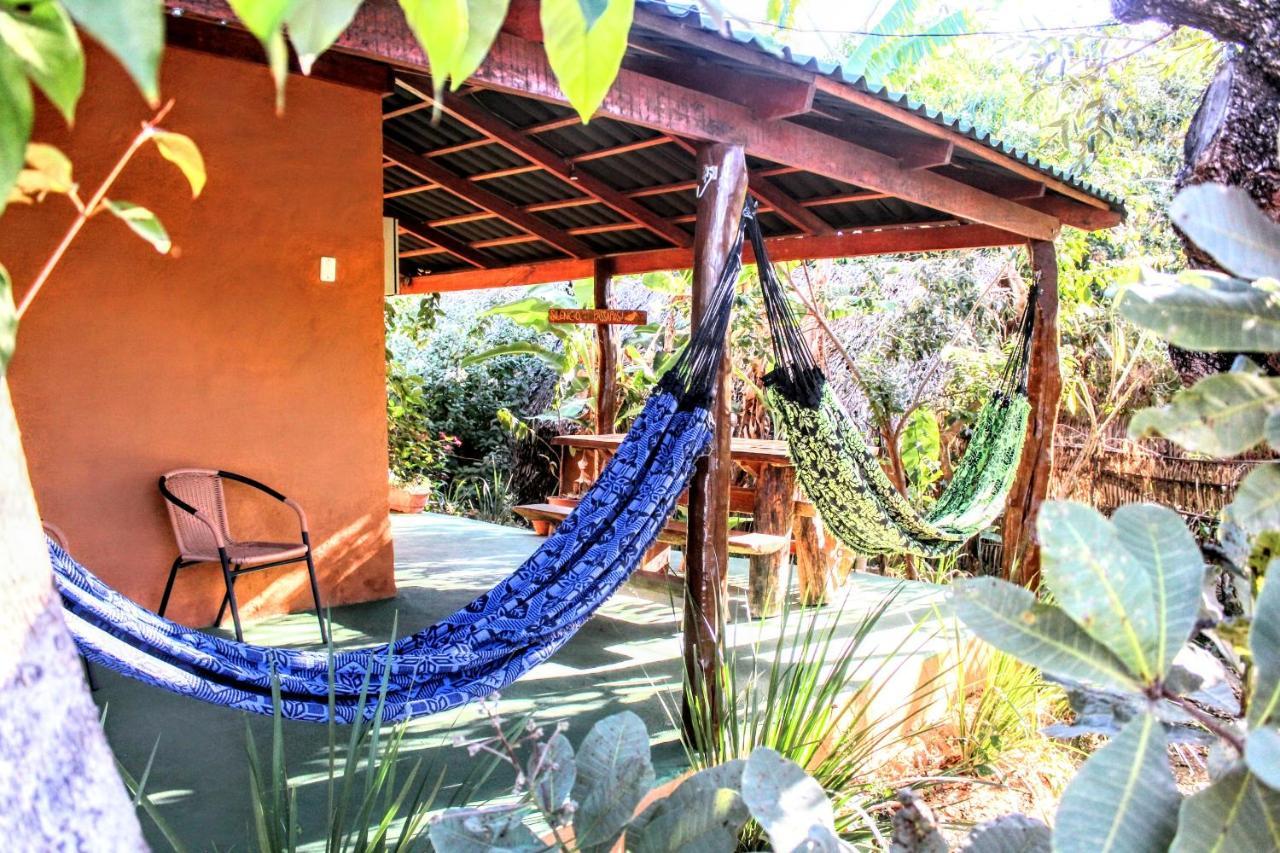 Canto Da Coruja - Ecohospedagem